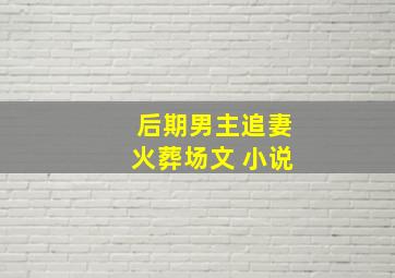 后期男主追妻火葬场文 小说